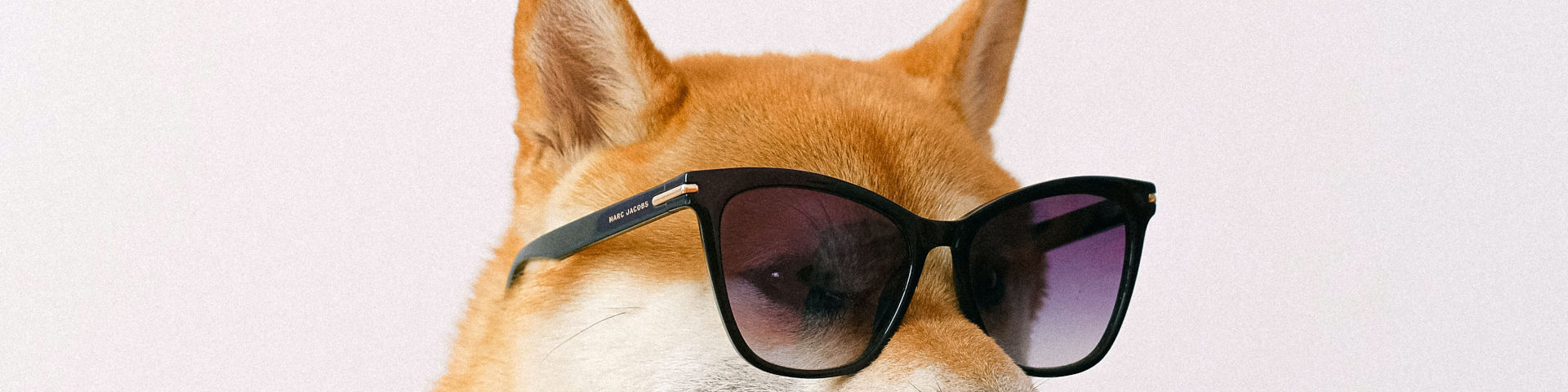 Can DOGE reach $1?